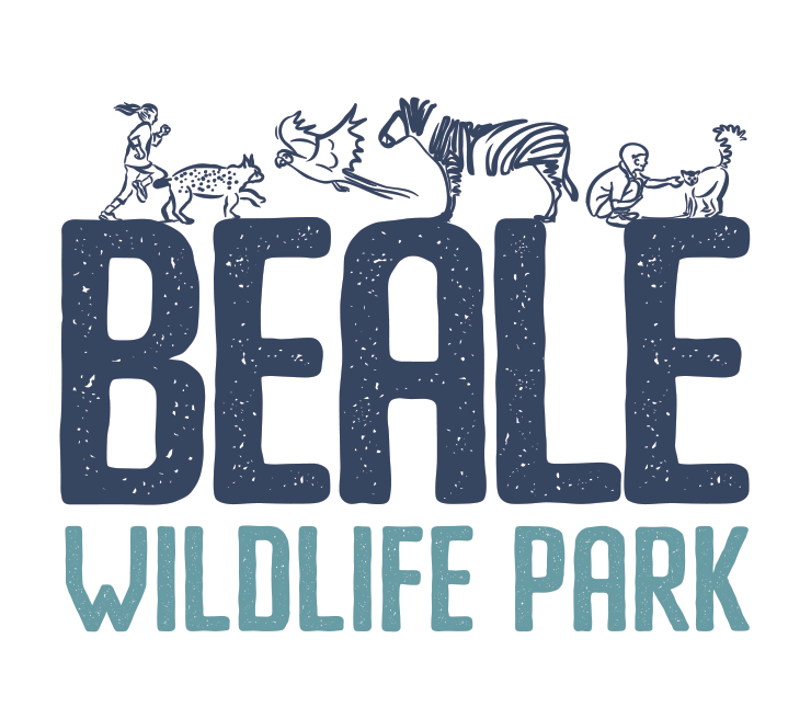 Beale Wildlife Park